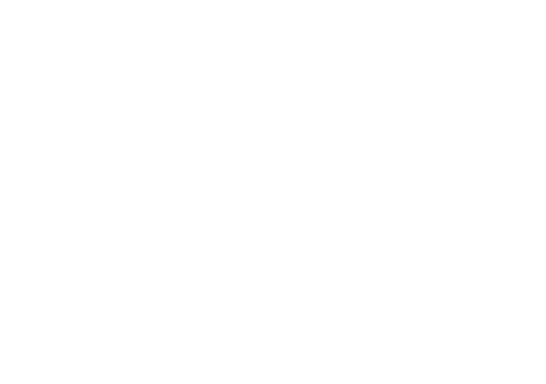 Lusitano